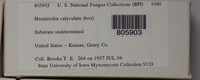 Image Associated With the Occurence